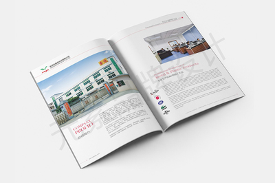 東莞一站式視覺營銷服務 畫冊設計、LOGO設計、網站建設與宣傳片拍攝制作全解析